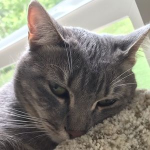 Meet your Posher, Linda